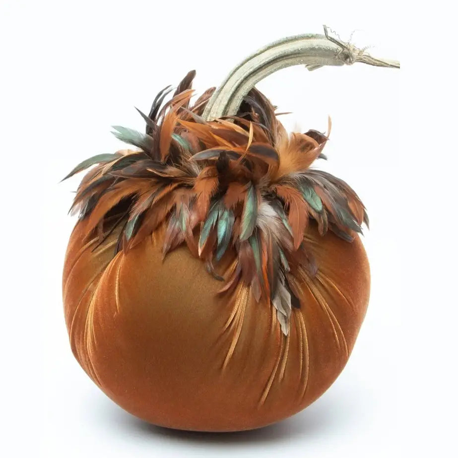 Velvet Pumpkin/Feathers - Spice/10"