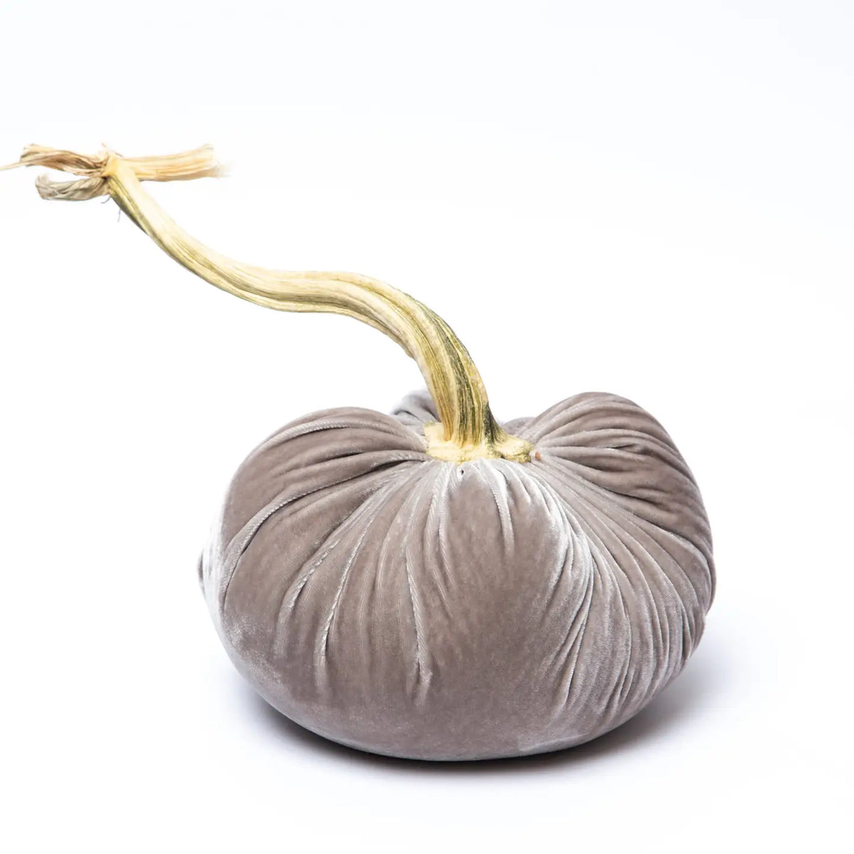 Velvet Pumpkin - Putty/8"