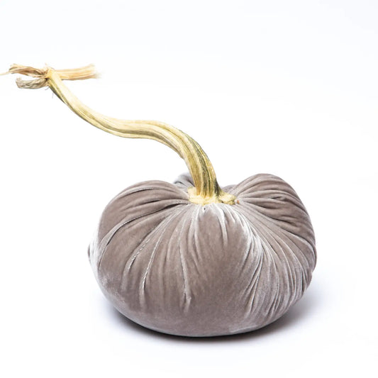 Velvet Pumpkin - Putty/8"