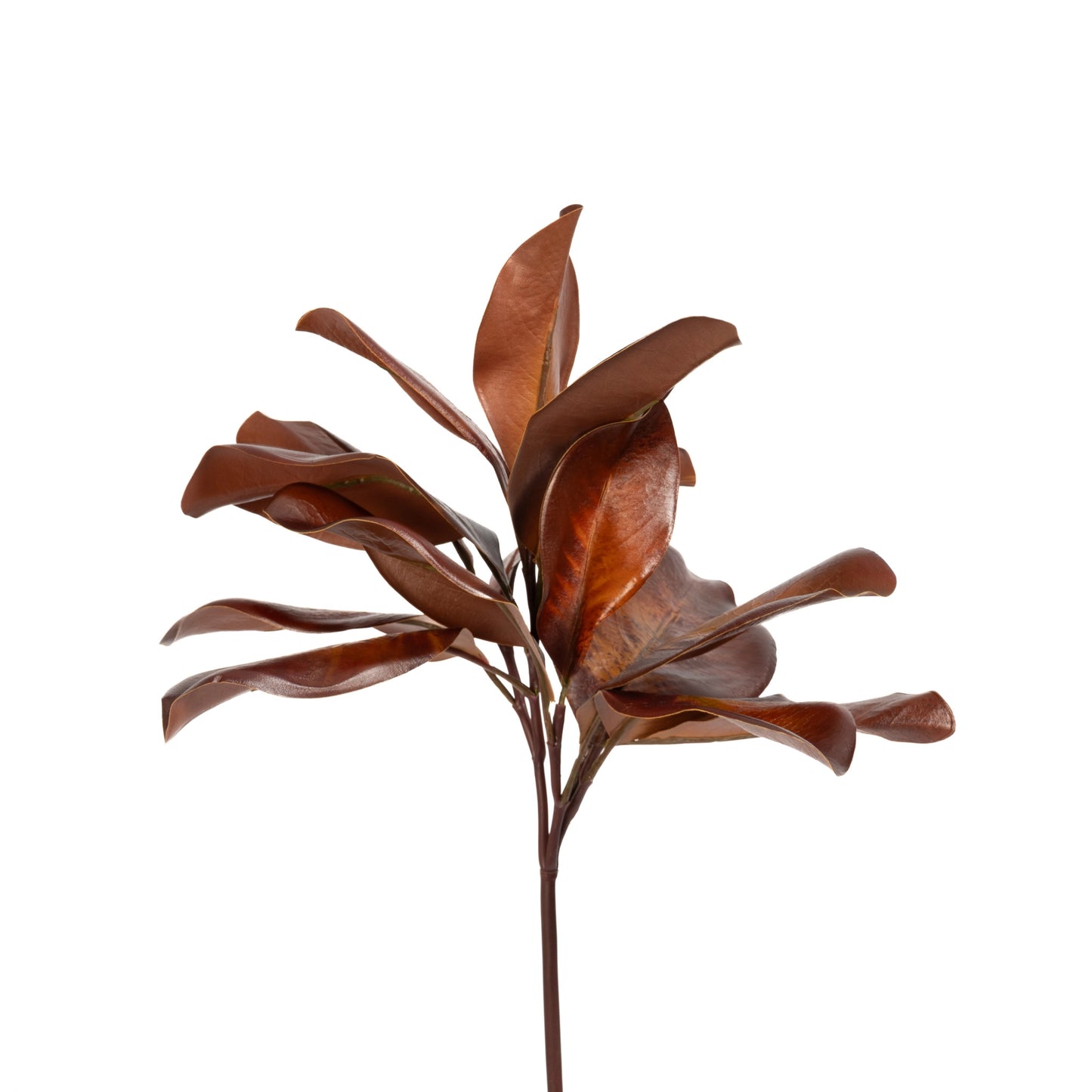 Bourbon Magnolia Leaf Spray