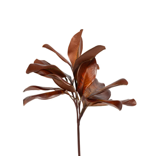 Copper Magnolia Leaf Spray