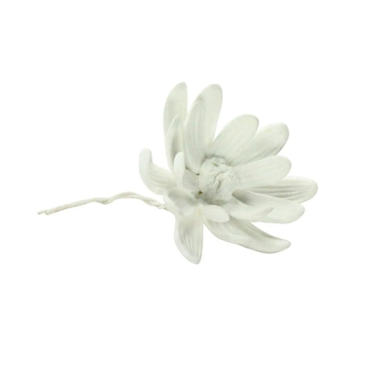 Bone China Magnolia Flower - White