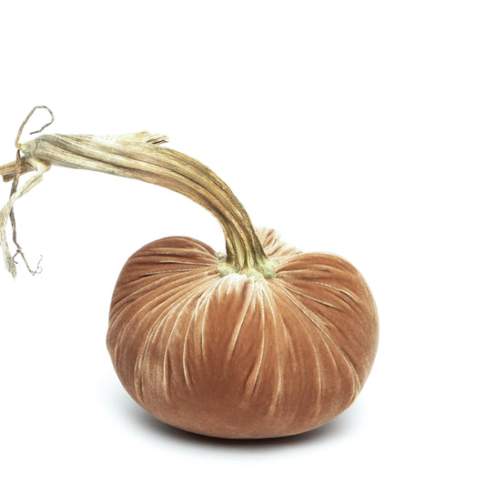 Velvet Pumpkin - Latte/8"