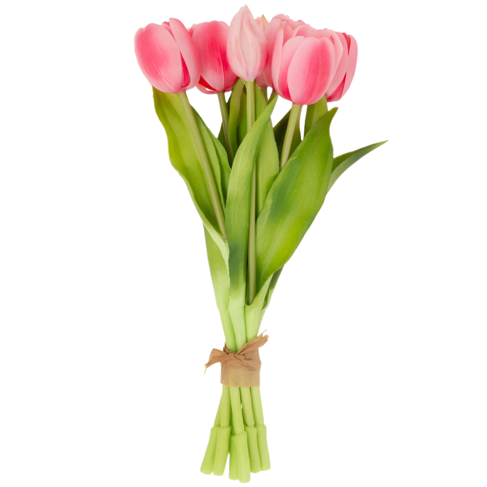 Pink Tulip Bundle S/8