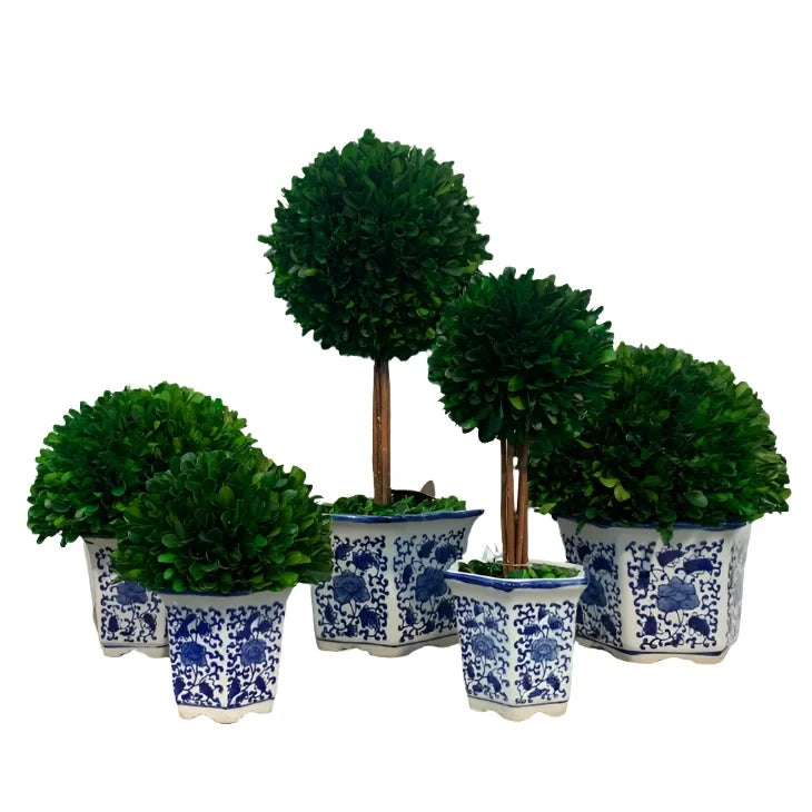 Topiary Tree in B/W Ceramic Pot