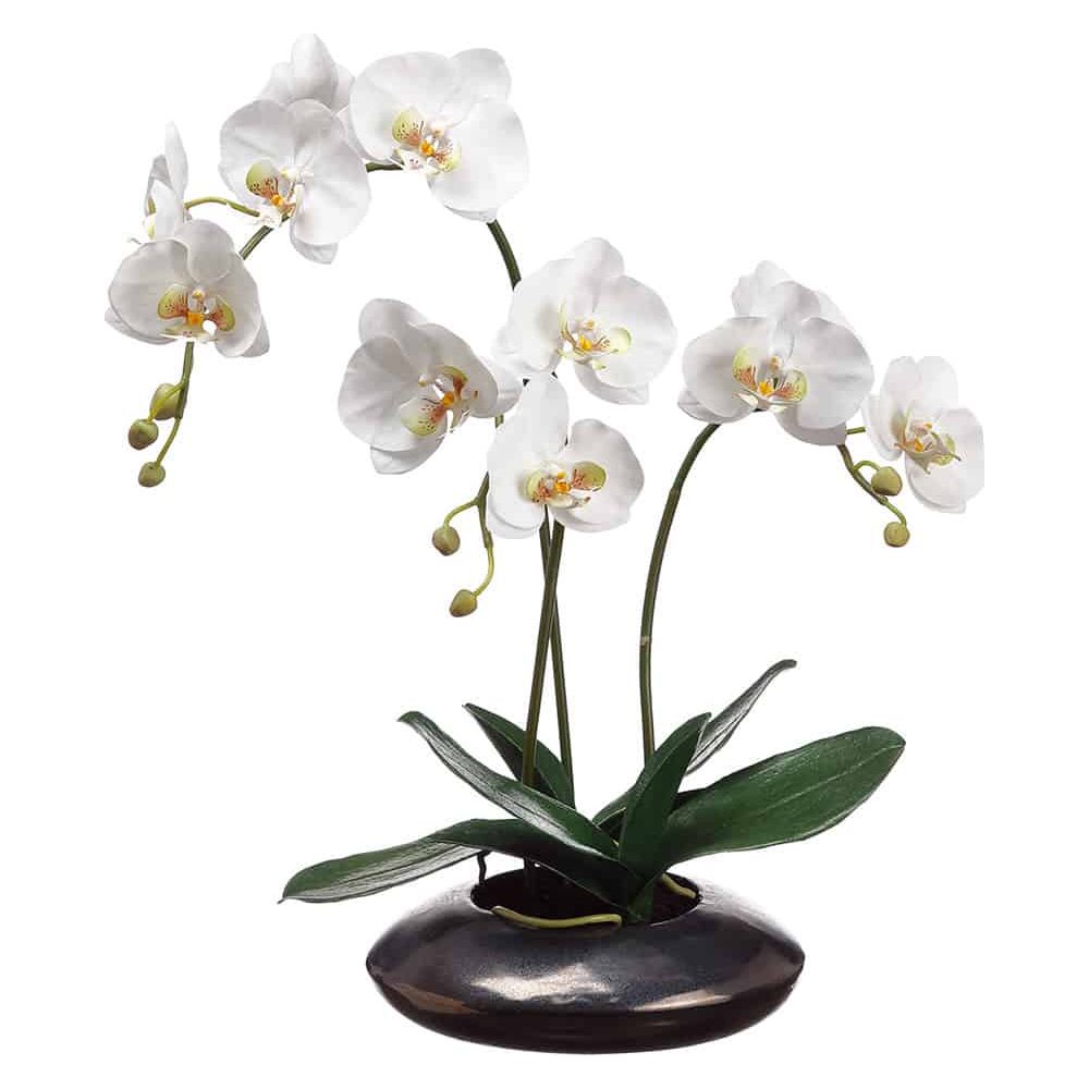 Orchid - 22"